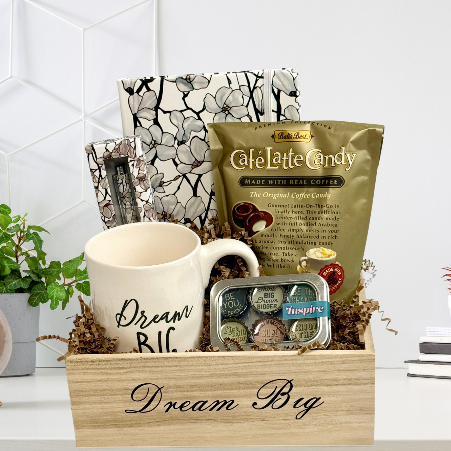 Dream Big